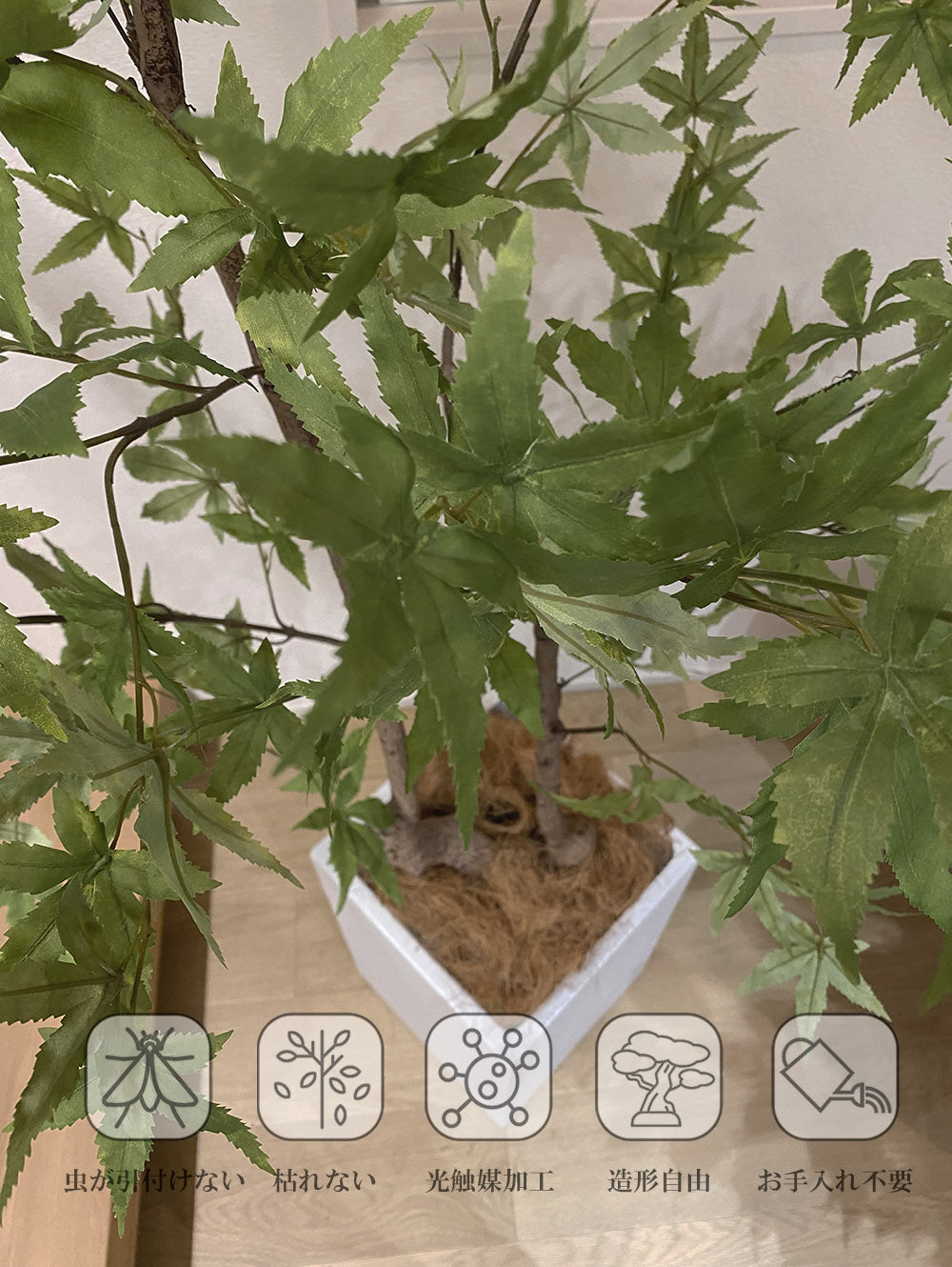 モミジ 紅葉 特大 180cm 人工観葉植物 フェイクグリーン 観葉植物 造花 光触媒 鉢付 軽量セメント ファイバーセメント フェイク グリーン インテリア おしゃれ お祝い 消臭 FS120 送料無料