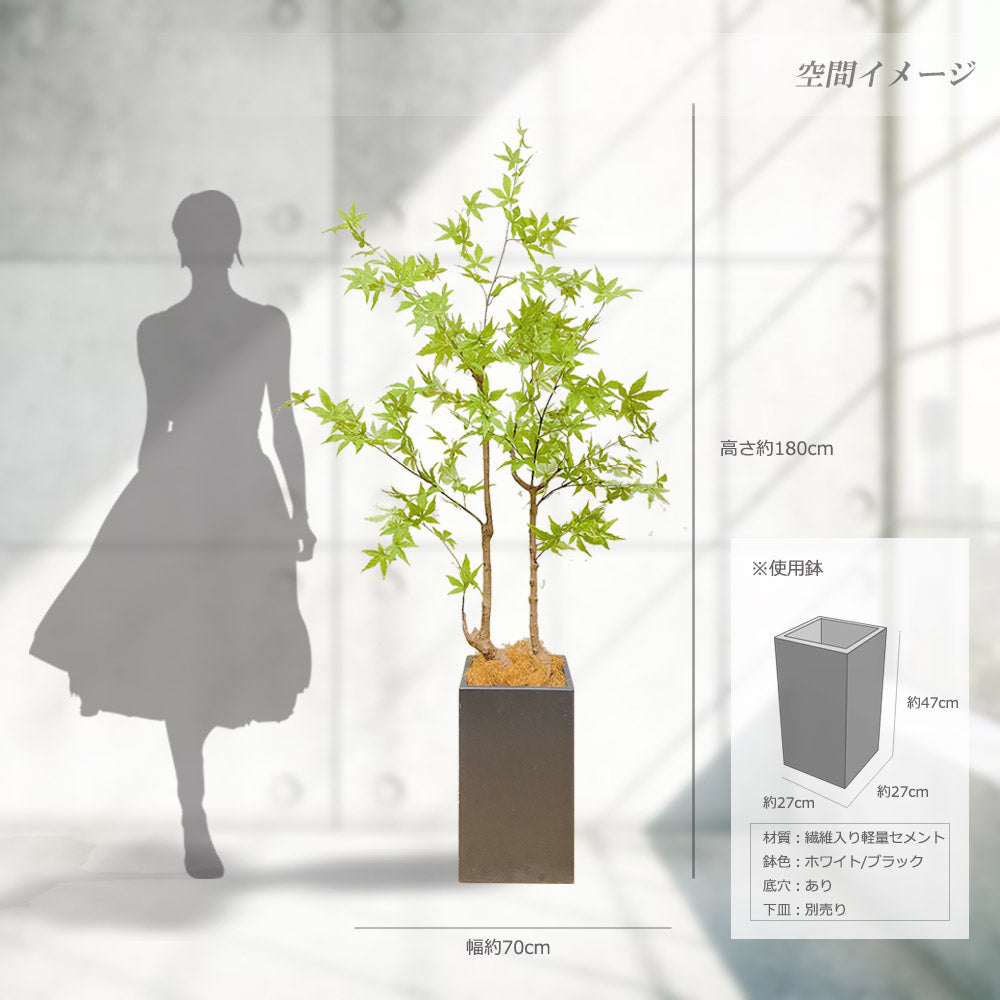 モミジ 紅葉 特大 180cm 人工観葉植物 フェイクグリーン 観葉植物 造花 光触媒 鉢付 軽量セメント ファイバーセメント フェイク グリーン インテリア おしゃれ お祝い 消臭 FS120 送料無料