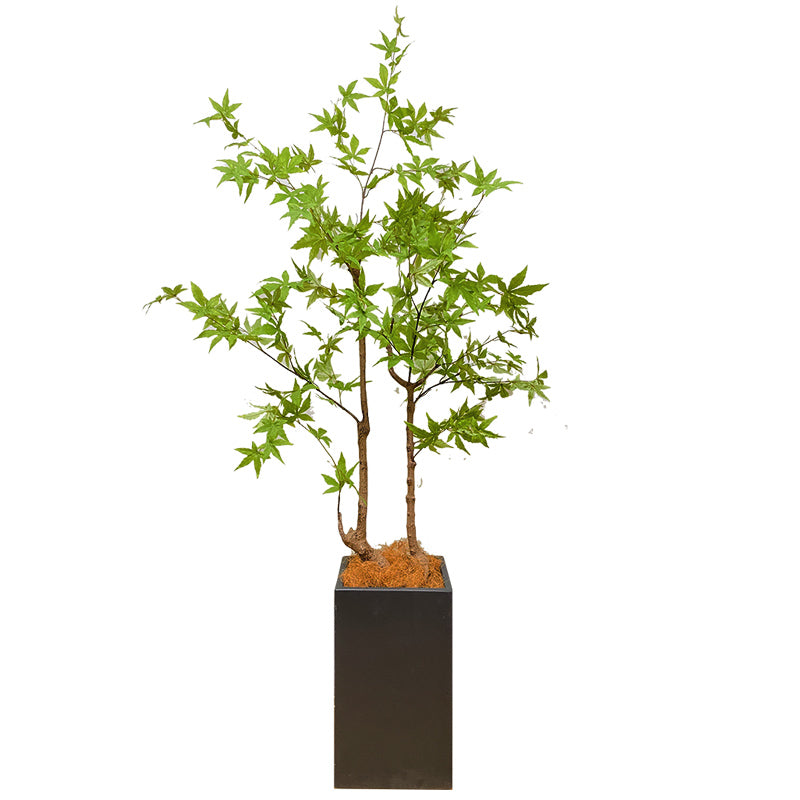 モミジ 紅葉 特大 180cm 人工観葉植物 フェイクグリーン 観葉植物 造花 光触媒 鉢付 軽量セメント ファイバーセメント フェイク グリーン インテリア おしゃれ お祝い 消臭 FS120 送料無料