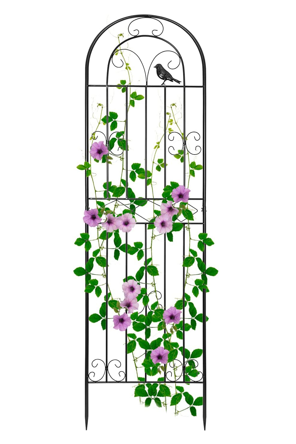 パーゴラ ガーデンフェンス アイアン ローズフェンス ガーデニング用支柱 つる花錬鉄 園芸支柱 防錆 簡単組立式 2枚セット送料無料