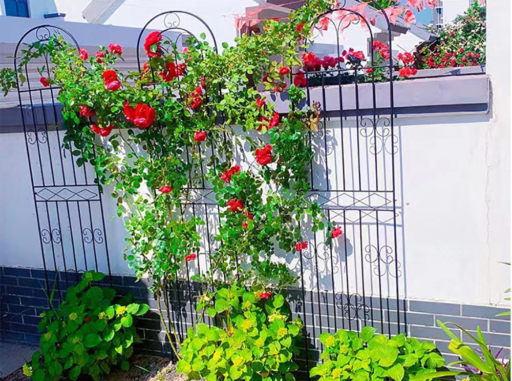 パーゴラ ガーデンフェンス アイアン ローズフェンス ガーデニング用支柱 つる花錬鉄 園芸支柱 防錆 簡単組立式 2枚セット送料無料