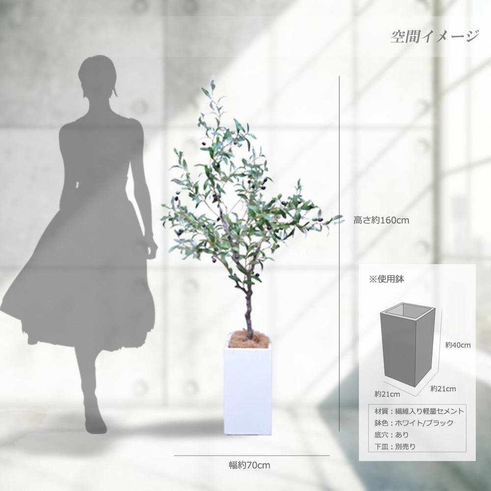 オリーブの木 160cm 人工観葉植物 フェイクグリーン  観葉植物 造花 光触媒 鉢付 軽量セメント ファイバーセメント フェイク グリーン インテリア おしゃれ お祝い 消臭 GLS112 送料無料