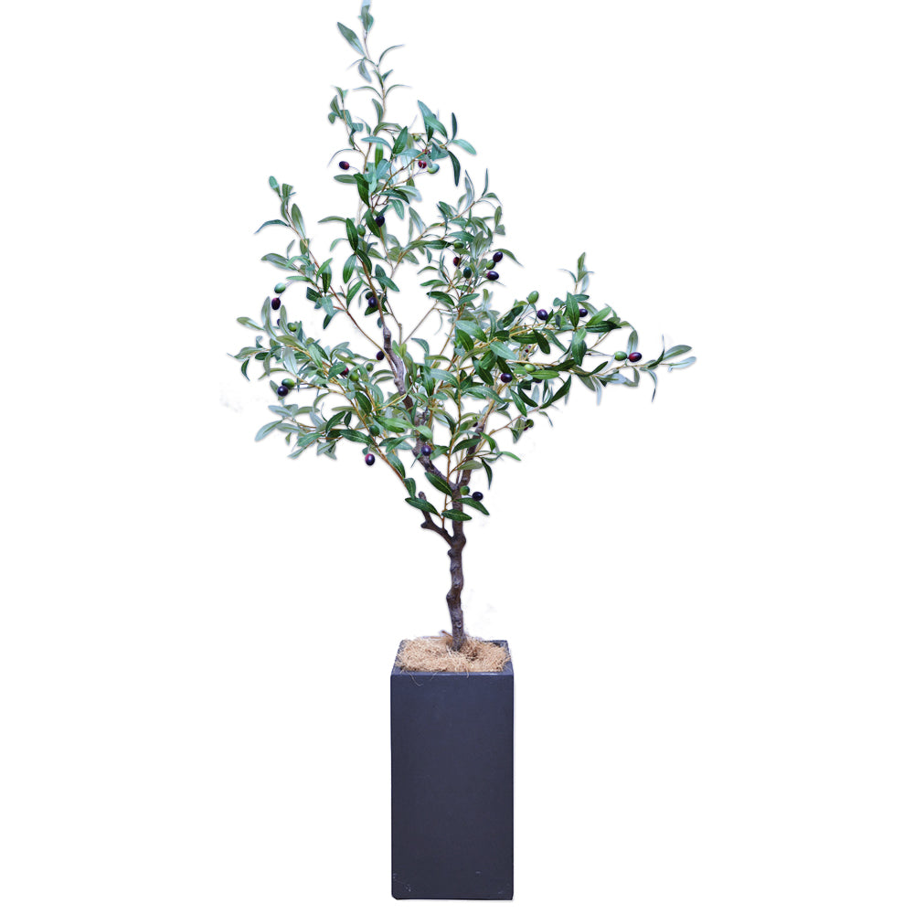 オリーブの木 160cm 人工観葉植物 フェイクグリーン  観葉植物 造花 光触媒 鉢付 軽量セメント ファイバーセメント フェイク グリーン インテリア おしゃれ お祝い 消臭 GLS112 送料無料