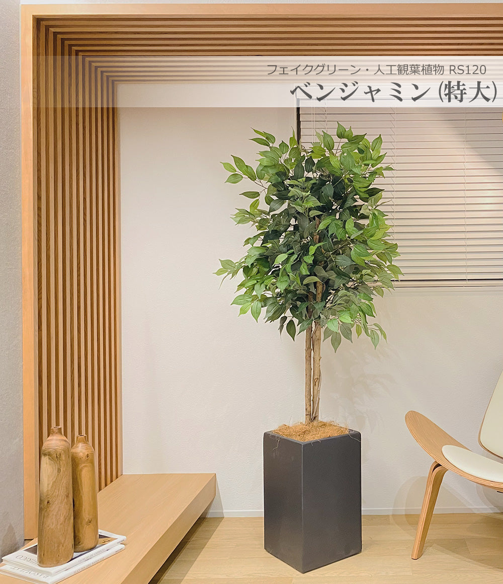ベンジャミン 特大 170cm シダレガジュマル 人工観葉植物 フェイクグリーン  観葉植物 造花 光触媒 鉢付 軽量セメント ファイバーセメント フェイク グリーン インテリア おしゃれ お祝い 消臭 RS120 送料無料