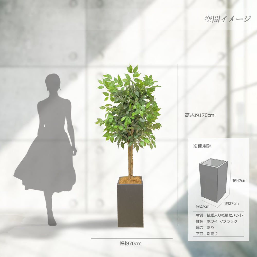 ベンジャミン 特大 170cm シダレガジュマル 人工観葉植物 フェイクグリーン  観葉植物 造花 光触媒 鉢付 軽量セメント ファイバーセメント フェイク グリーン インテリア おしゃれ お祝い 消臭 RS120 送料無料