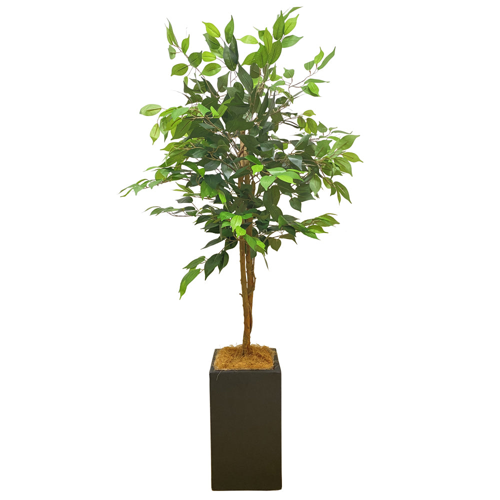 ベンジャミン 160cm シダレガジュマル  人工観葉植物 フェイクグリーン  観葉植物 造花 光触媒 鉢付 軽量セメント ファイバーセメント フェイク グリーン インテリア おしゃれ お祝い 消臭  RS112 送料無料